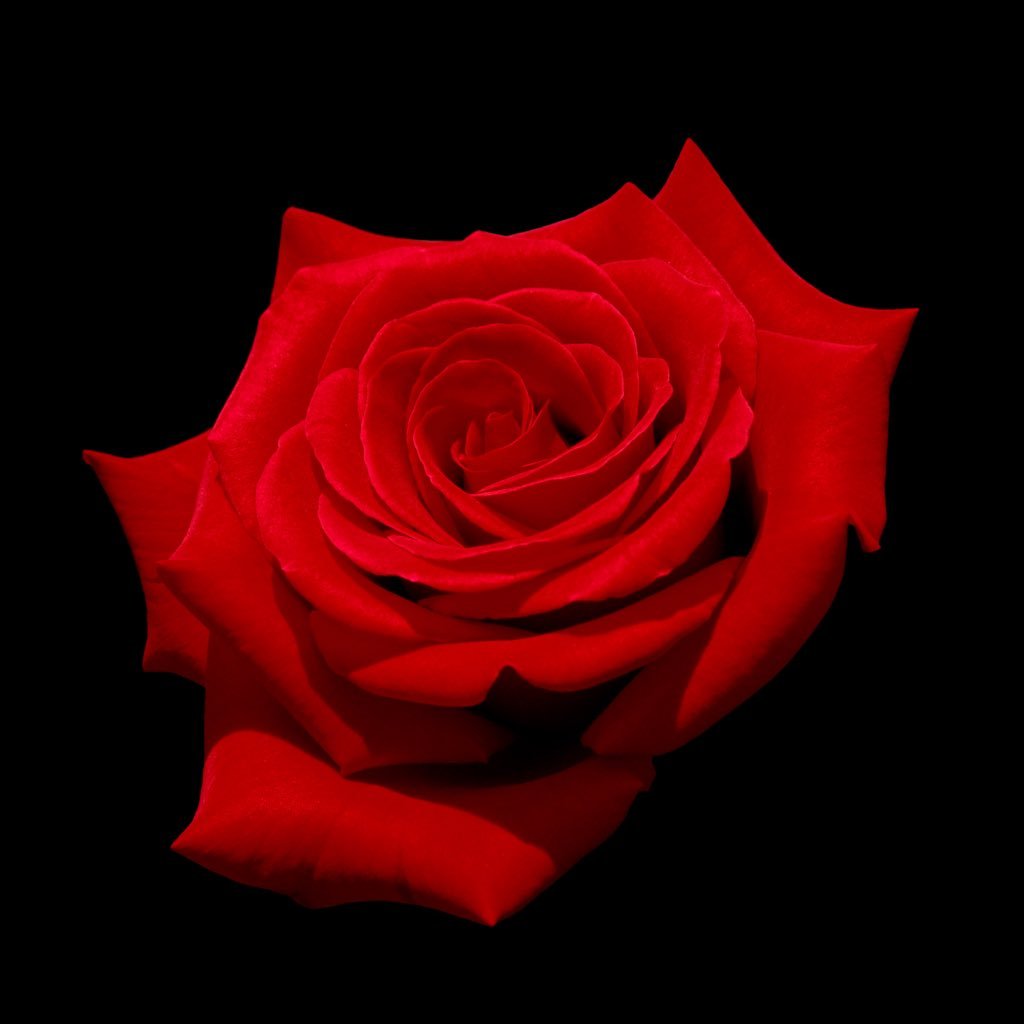 xThunder44x's profile picture. 