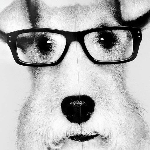 huntbao's profile picture. FrontEnd Engineer