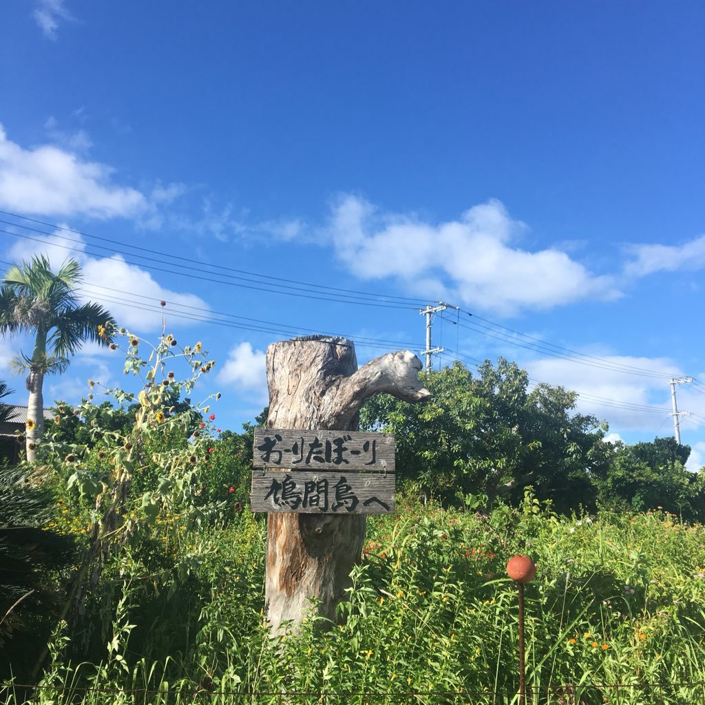 cupidcome1's profile picture. 小さな島、とくに鳩間島が好き。シュノーケルで珊瑚見るのが大好き！可愛い服も好き♪ ﾋﾞｰﾙを毎日飲んで120歳まで元気に楽しく笑って生きる計画です。北海道出身。数年前から編物沼。作家名は旅する編物家cupidcome！です。