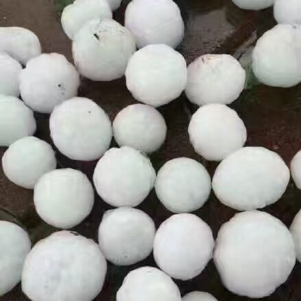 home7415's profile picture. 佛系大奔销售，小隐隐于林。可闷可骚，有家偶尔出来浪。