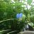twitter profile