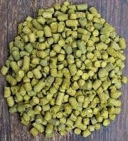 Yeast, Hops & more...