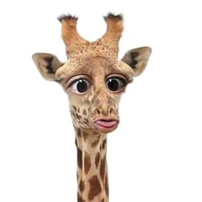 Girafa_Tesuda69's profile picture. GIRAFINHA AVASSALADORA, VOU TE PEGAR DE JEITO E FUMAR SUAS DROGAS