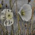 lakessawl (@lakessawl) Twitter profile photo lakessawl (@lakessawl) Twitter profile photo