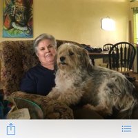 Barbara (@blwmailbox) 's Twitter Profile