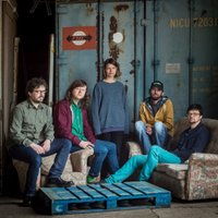 Co-Pilgrim (@copilgrim) 's Twitter Profile