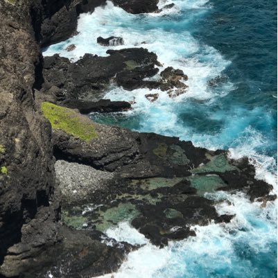 Lostboi808's profile picture. 