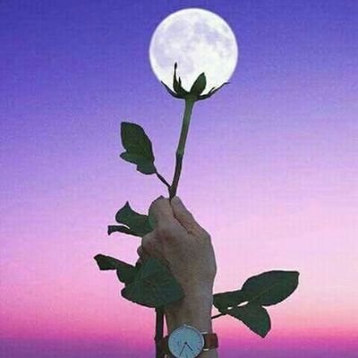00923330280029 what's up 👆 and IMO
Single 👦 boy
انا محمد نويد بن شاهد خان
سنة ٢٤
انا غير متزوج
مهتم في حب الزواج
انا ابغي حب الزواج
انا ابفي صحيح 1 فتا