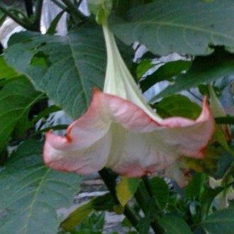 xa0xrvHGI7Y8NpS's profile picture. 