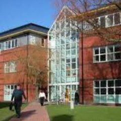 TCD OT Profile
