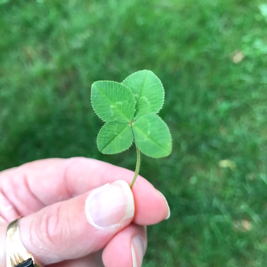 jenny08_07's profile picture. happy liver transplant recipient married momma Irish Catholic bejesus, cops kid , Endoscopy Technician I want justice for all of the victims of every crime.