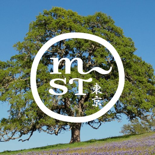MST Oak Class Profile