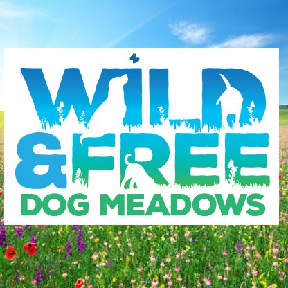 Wild and Free Dog Meadows offers a secure off lead dog park which can be privately hired by the hour. We are based near Fordingbridge, The New Forest.