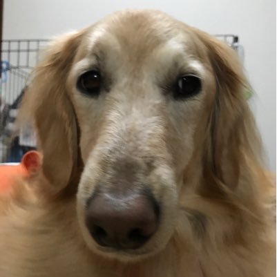 cameo2011318's profile picture. 