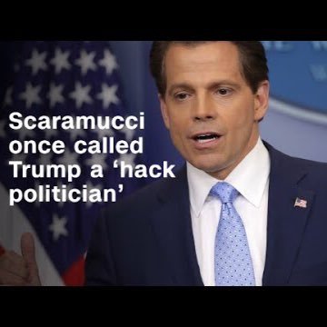 scumbagmucci's profile picture. Just a scumbag doing the Donald's bidding.