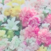 koha939's profile picture. 好きなものが多過ぎてキリがない💃
幸せだけども！！！
2020/8 54kg→目指せ49kg！🥰

無言フォローm(__)m
成人済、好きなワインはおたる🍷