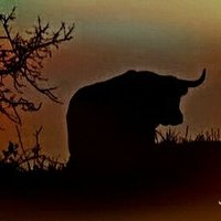 JMaríaJD🇪🇸 (@jmariajd) 's Twitter Profile Photo JMaríaJD🇪🇸 (@jmariajd) 's Twitter Profile Photo