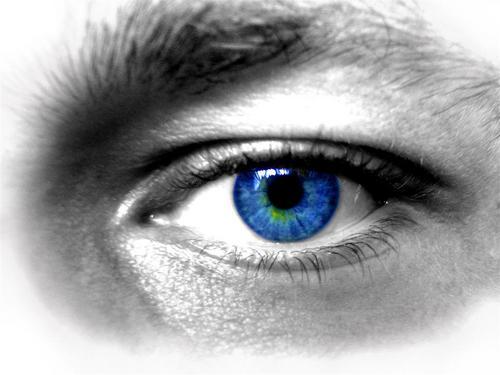 NewViz's profile picture. If kids can do this, imagine what you can do! Trust me the sled is in motion at around 25 mph when this was taken. Be fearless.