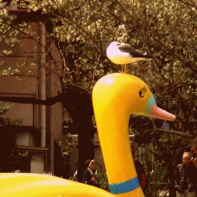 生湯葉 シホのプロフィール写真