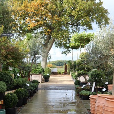 Garden Designer @ArchitecturalPlants