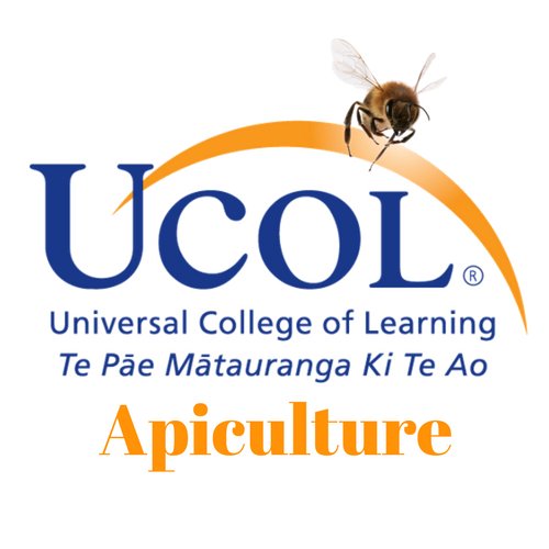 UCOL provides training and education for students to achieve the New Zealand Certificate in Apiculture level 3 & 4