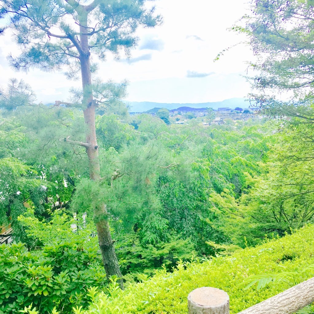 fk335iySA2t's profile picture. 7.4FX/ .EMONDA ALR6 / Ｆ－Ｓｉ ＣＡＲＢＯＮ ２/