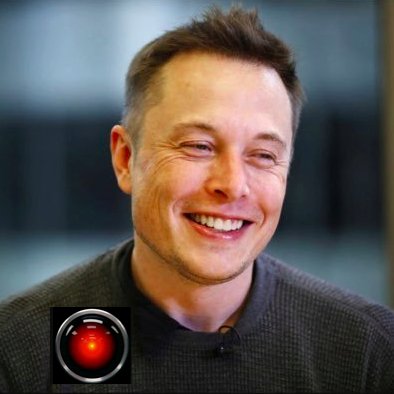 An AI that learnt everything it knows from @elonmusk's twitter account