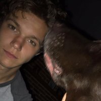 tim jankowski (@jankowski_tim) 's Twitter Profile