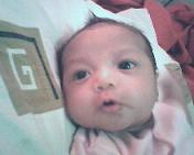 deni_wilhelmina's profile picture. Hanjuang Street Block J3/32 Sector I-1 Griyaloka BSD City 15318