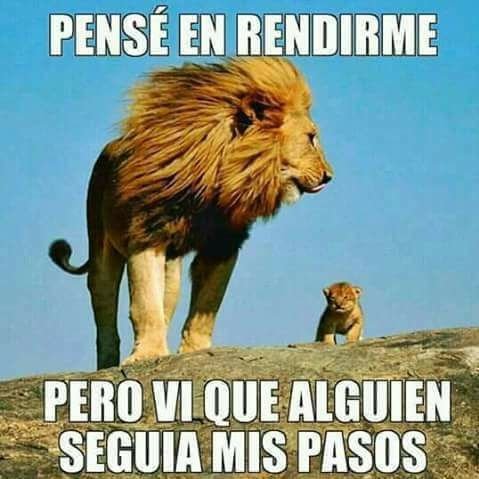 jehova el unico dios poderoso 😍😘🐑🐏