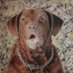 DLSweep (@harvestbaydogs) Twitter profile photo DLSweep (@harvestbaydogs) Twitter profile photo
