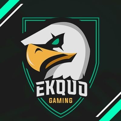 Twitter oficial de Ekquo Gamig, equipo competitivo de eSports

#GoEKQ