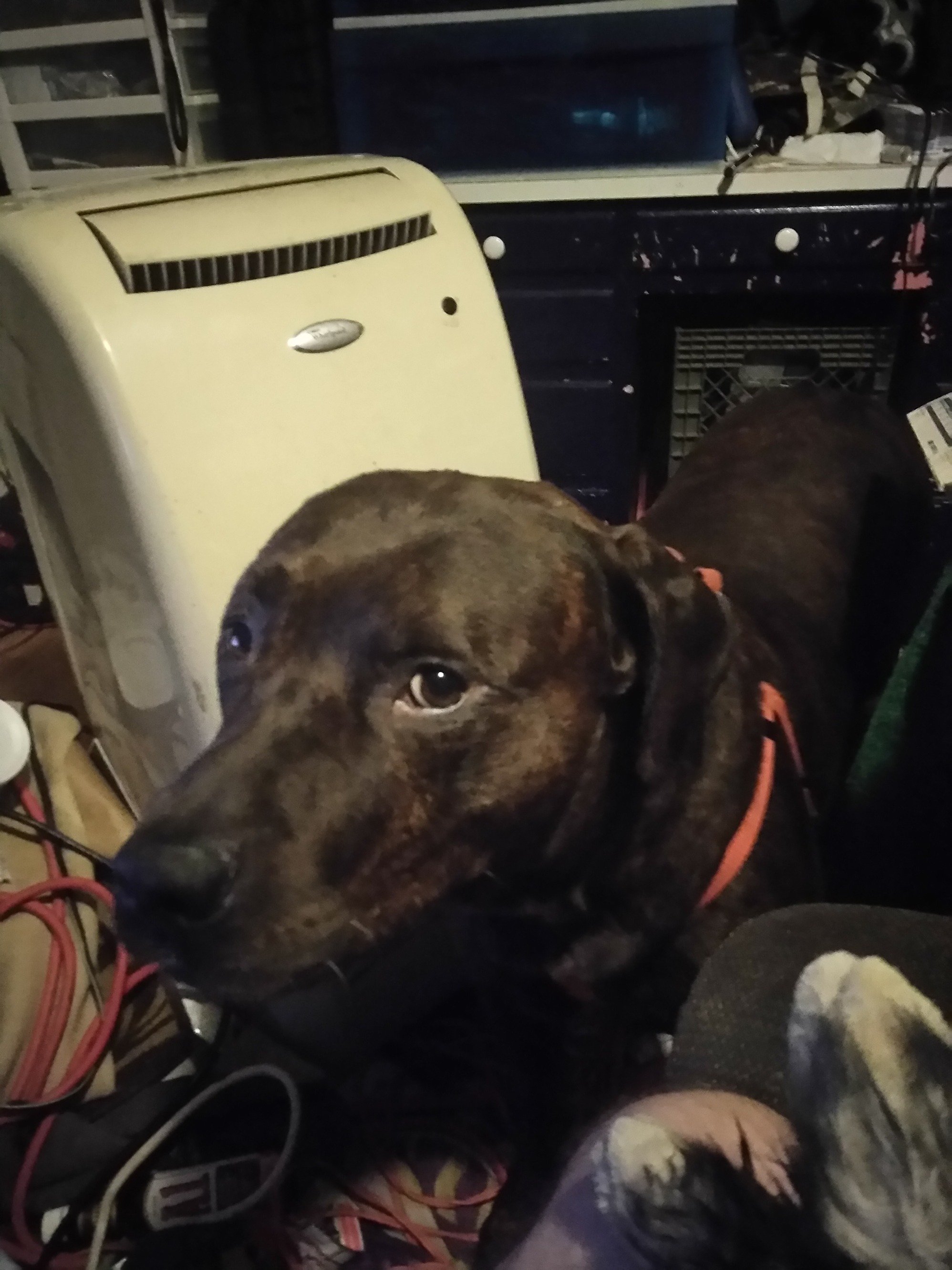 RStaudmier's profile picture. 