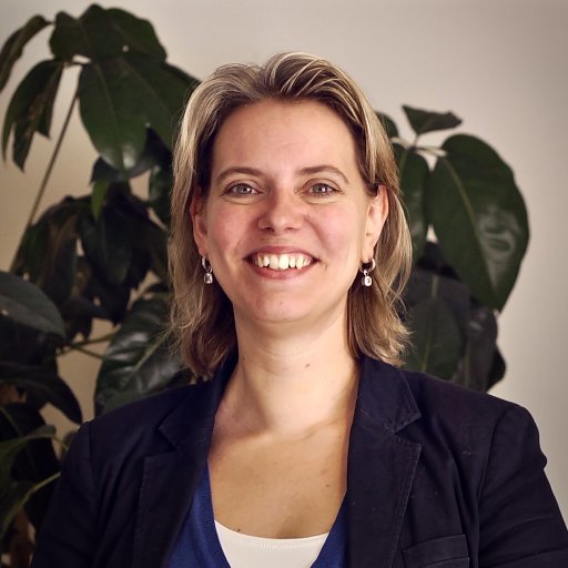 LJAESnaphaan's profile picture. Scientific researcher elderly psychiatry, GGz Eindhoven