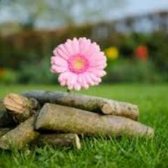 raajitamoztech's profile picture. latest govt jobs,results, admit cards