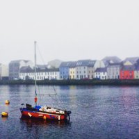 MSc in Coastal & Marine Environments(@GalwaySeaShore) 's Twitter Profile Photo