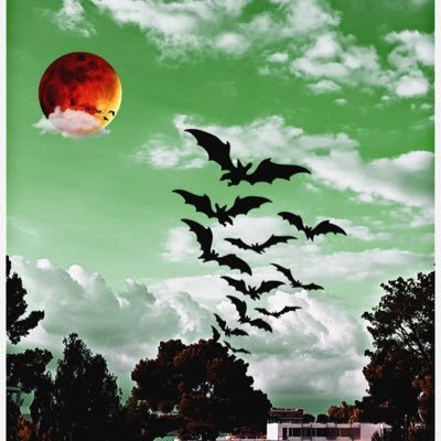 Ibrahimyasin192's profile picture. 