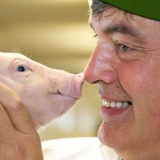 'Pig whisperer', 22nd gen. farmer/pig vet emancipating pigs+cows. Branded pork Duke of Berkshire®.Caring farmer.'Treat others like you want to be treated!'