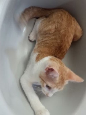 xaqada0509's profile picture. 