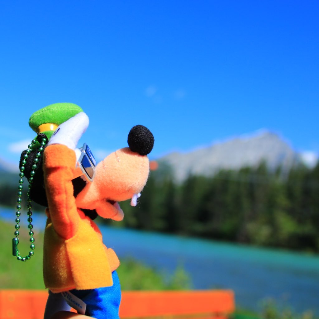 kyky_jrk's profile picture. Sel'm/ムック/ラヴィアンローズ好きです！ディズニーも好きです！気軽に声かけて下さい(*´∀`*)ﾉ″