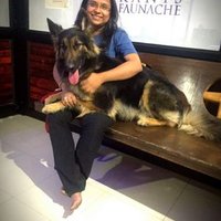 Anamika Dey(@Anamikardey) 's Twitter Profile Photo