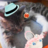 ????_2Mといっしょのアイコン