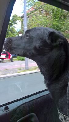 Dereone071's profile picture. Leben und Leben lassen