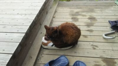 UqUDpl9pZqW6oAO's profile picture. 