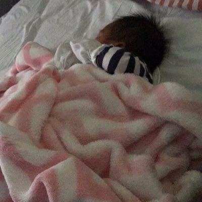 Xienita08's profile picture. Ninja kitty raising a ninja princess warrior