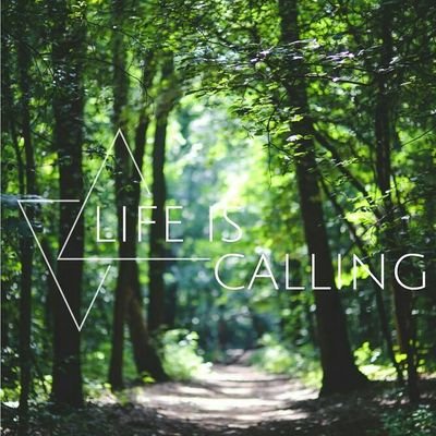 iamhistogram's profile picture. We share the photos captured by shutterbugs all around the world. Mention @iamhistogram and use #histogram 
Insta: officialhistogram