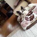 あみ (@0930Mfc) Twitter