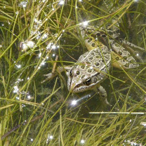 An online hub for the river restoration community