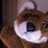 fellowhoodlums's profile image