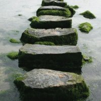 thepath (@thepath108) 's Twitter Profile